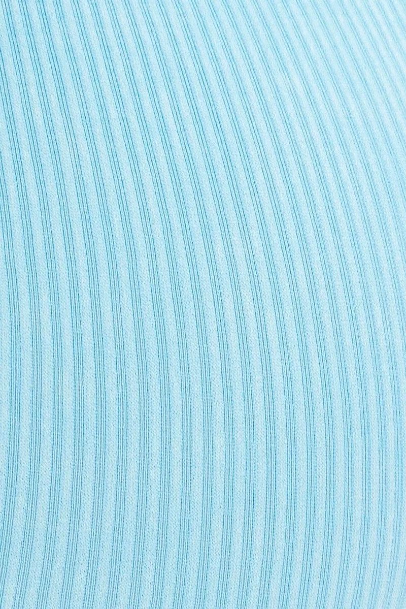 Blue Bike Shorts Seamless